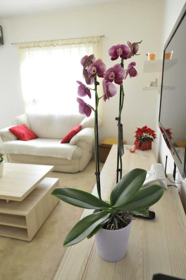 Apartament Vlatka Split